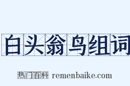 白头翁鸟组词是什么意思的图片